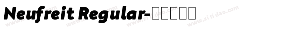 Neufreit Regular字体转换
